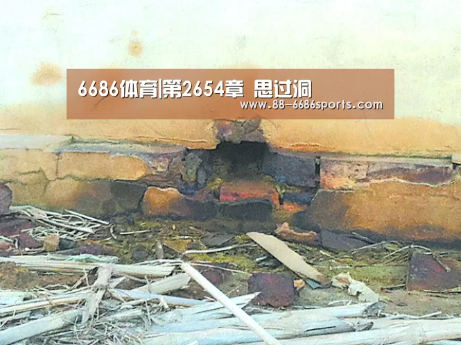 6686体育
