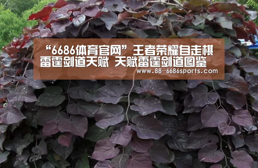 “6686体育官网”王者荣耀自走棋雷霆剑道天赋 天赋雷霆剑道图鉴(图1) 6686体育