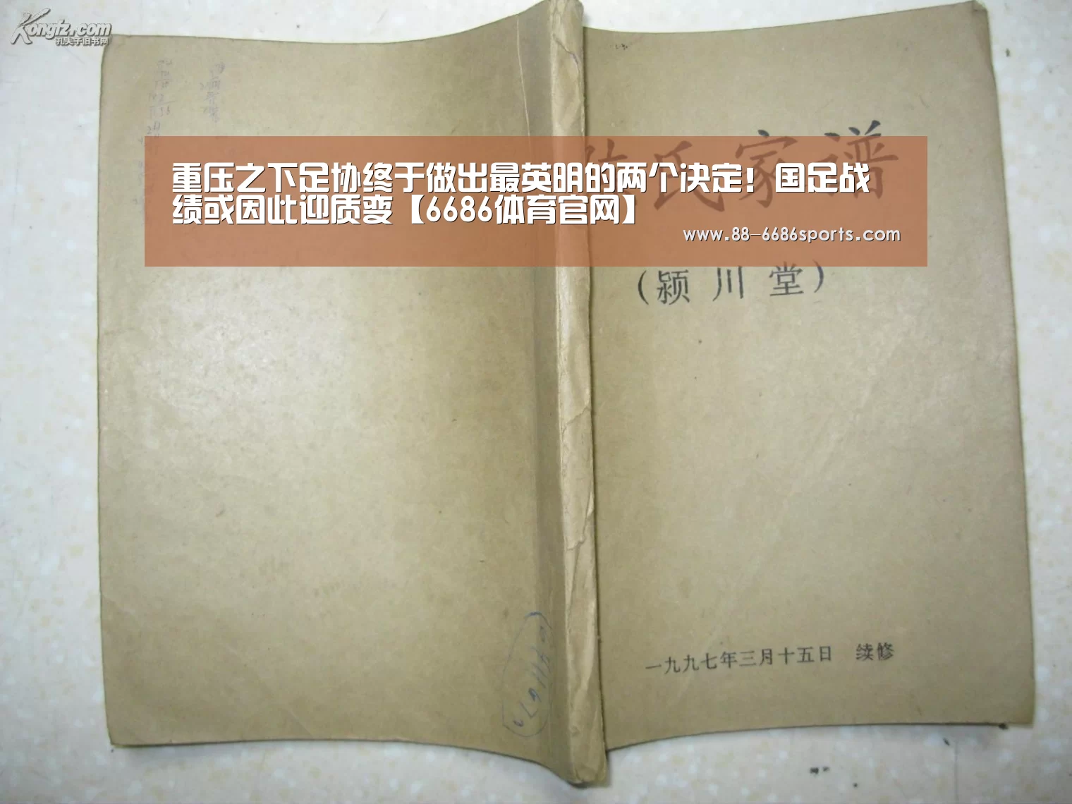 重压之下足协终于做出最英明的两个决定!国足战绩或因此迎质变【6686体育官网】(图4) 6686体育