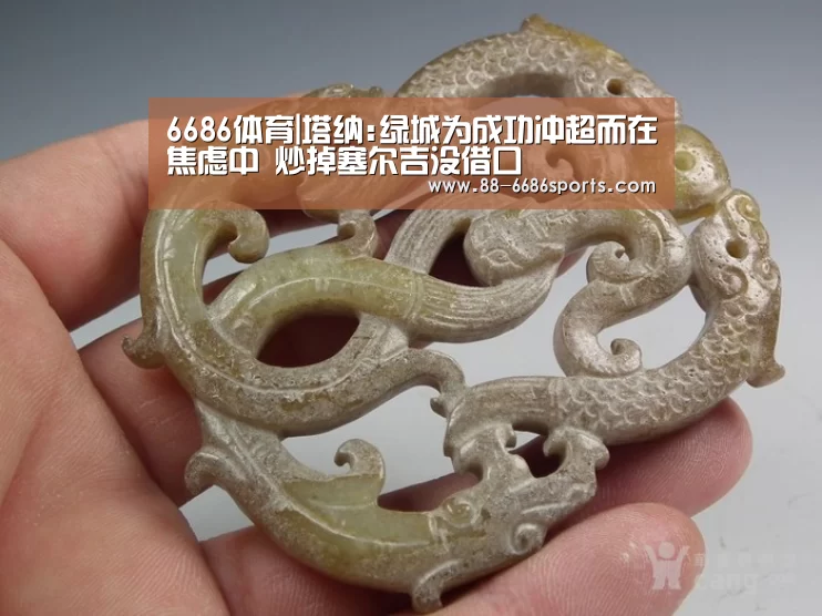 6686体育|塔纳:绿城为成功冲超而在焦虑中 炒掉塞尔吉没借口(图1) 6686体育